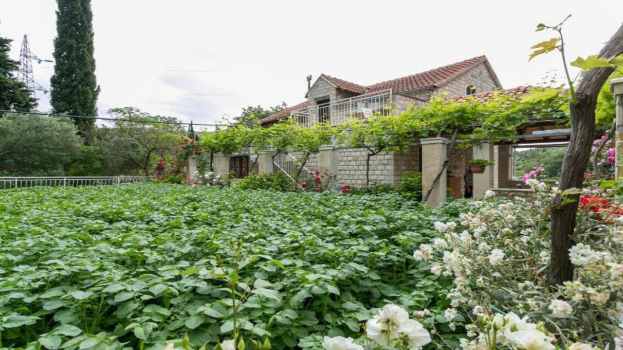 Apartment Klepo Dubrovnik Ngoại thất bức ảnh